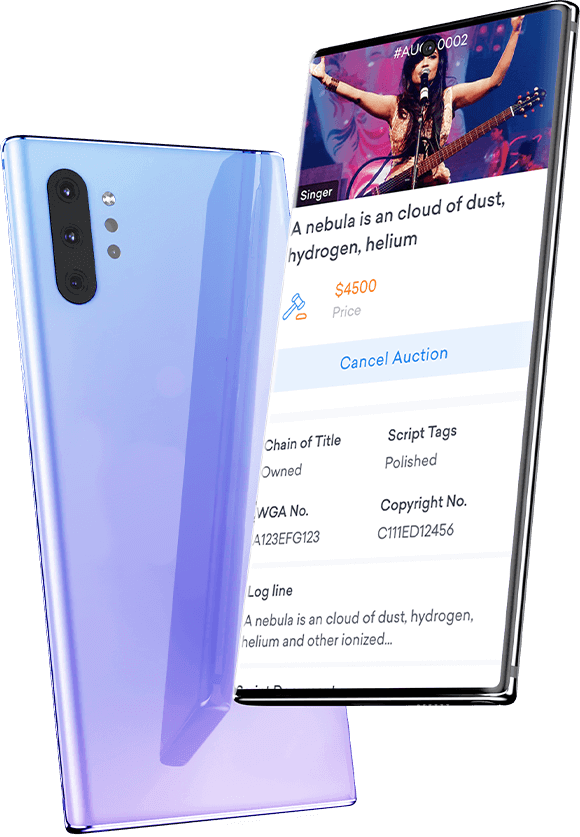 Shopify Web Developers